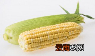 晒干的玉米怎么煮好吃 怎么炒晒干的玉米