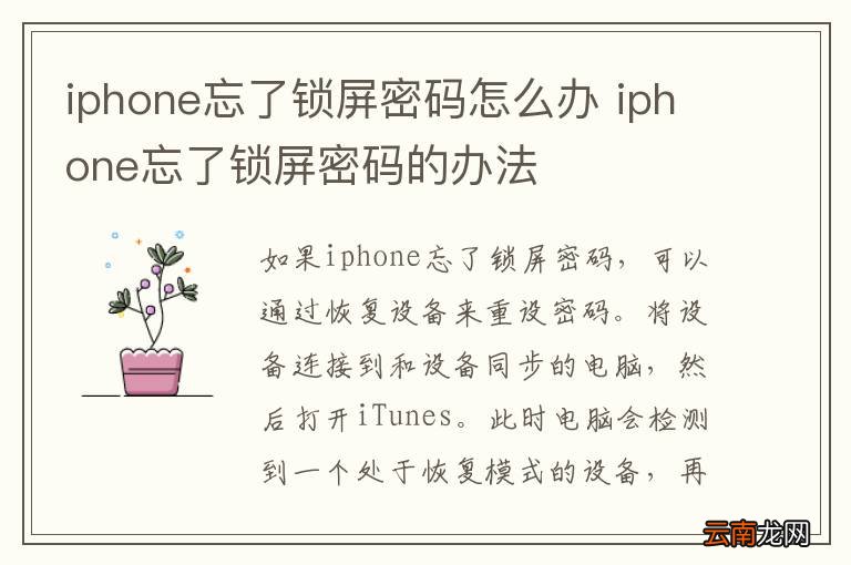 iphone忘了锁屏密码怎么办 iphone忘了锁屏密码的办法