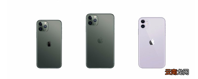 苹果11怎么取消订阅自动续费 苹果11怎样取消订阅自动续费