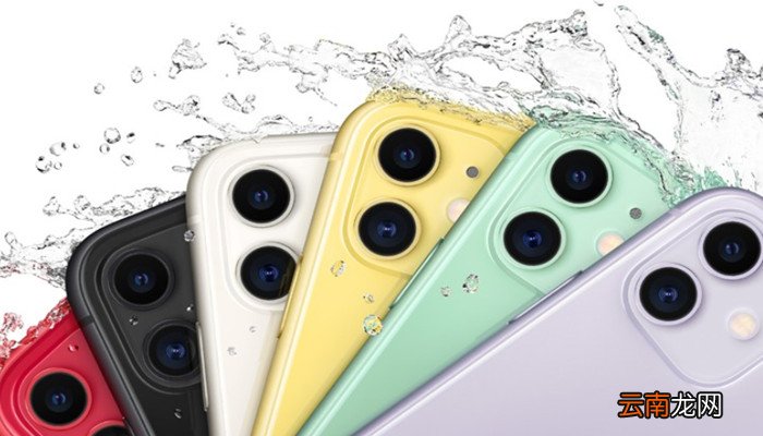 苹果11怎么取消订阅自动续费 苹果11怎样取消订阅自动续费