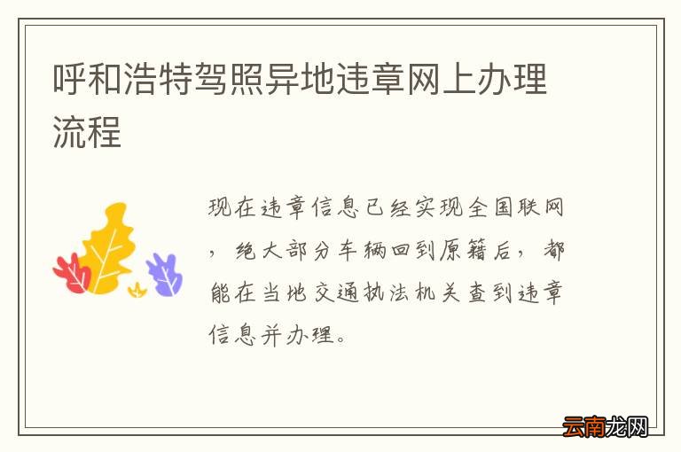 呼和浩特驾照异地违章网上办理流程