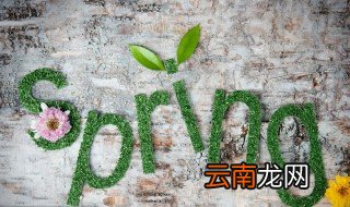 春天激励人的短语大全 春天是活力四射的季节