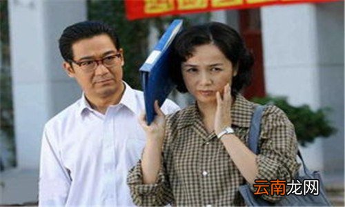 金婚电视剧文丽生了几个