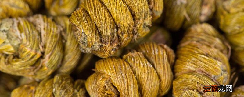 石斛寸金与枫斗的区别 石斛枫斗和寸金有区别吗