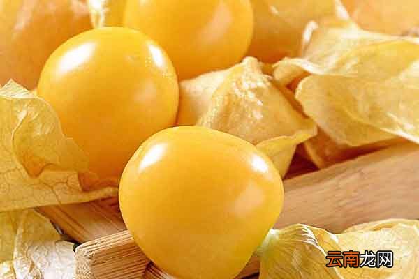 黄姑娘果的功效与作用黄姑娘果的禁忌人群