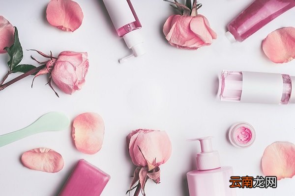 玫瑰精油的功效与作用 精油的作用和功效