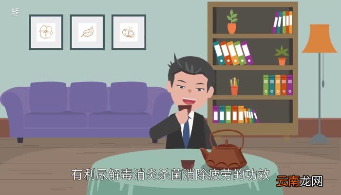 正山小种是什么茶喝正山小种茶有什么好处