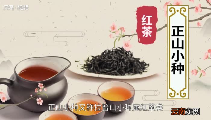 正山小种是什么茶喝正山小种茶有什么好处