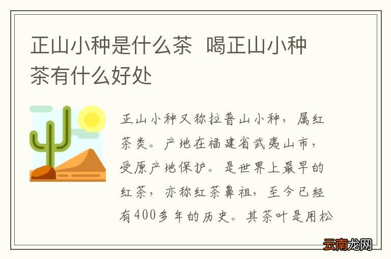 正山小种是什么茶喝正山小种茶有什么好处