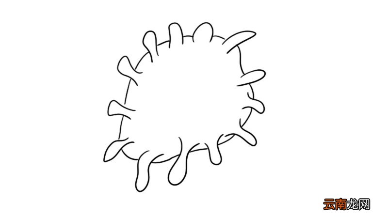 冠状病毒简笔画画法 冠状病毒简笔画