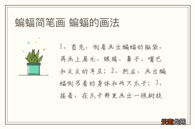 蝙蝠简笔画 蝙蝠的画法