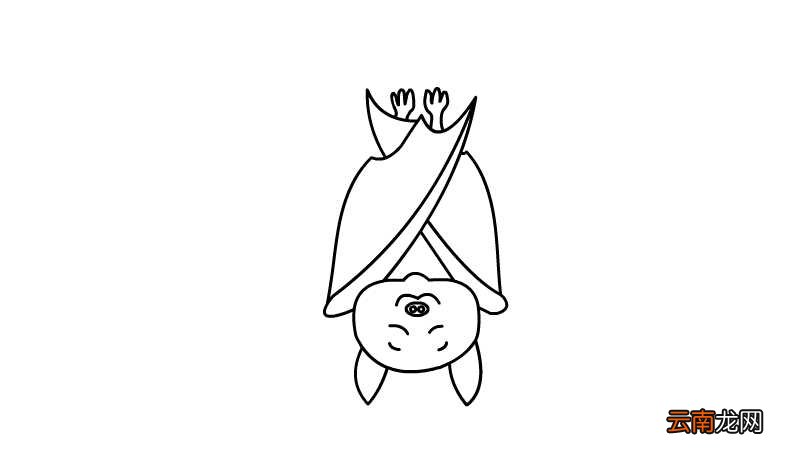 蝙蝠简笔画 蝙蝠的画法