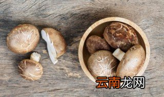 鲜香菇怎么晒干步骤图 晒干的香菇怎么做好吃