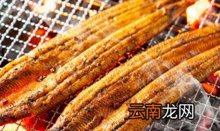 鳗鱼晒干了怎么做好吃 鳗鱼怎么晒干