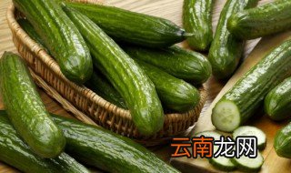 老黄瓜怎么晒干 老黄瓜怎么晒干才好吃