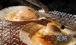 扇贝怎么晒干，扇贝丁怎么晒成干贝