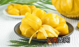 菠萝蜜怎么晒干 菠萝蜜怎么晒干?