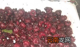 红桃K怎么晒干 新鲜的红桃k怎么晒干