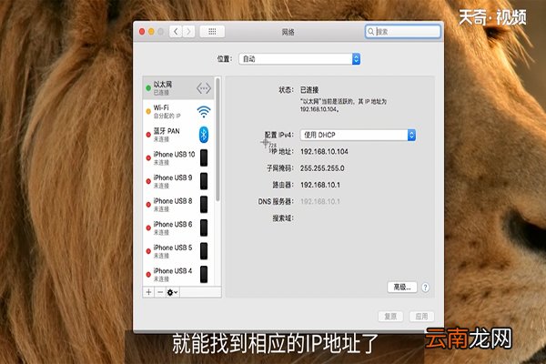 mac怎么查询ip地址