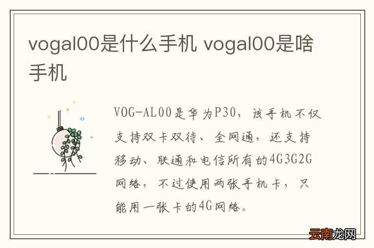 vogal00是什么手机 vogal00是啥手机