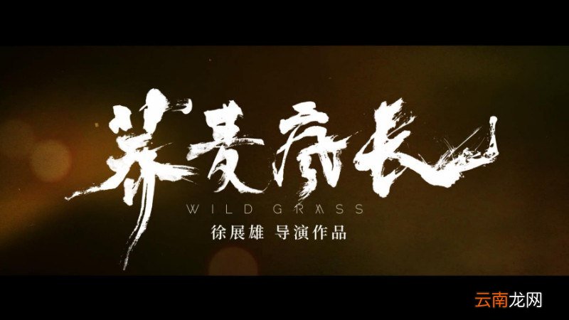 云荞马思纯是什么电影中的角色