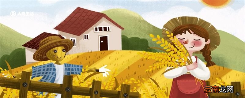 小满是24节气第几个 小满是24节气中的多少个