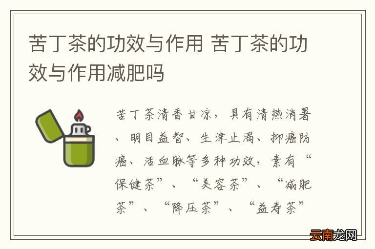 苦丁茶的功效与作用 苦丁茶的功效与作用减肥吗