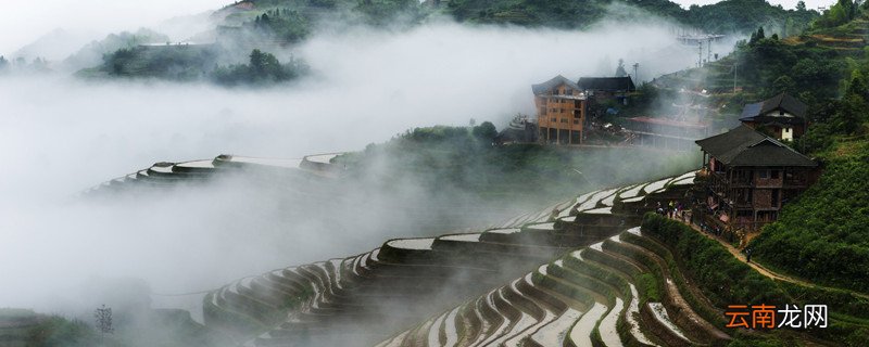瑶族传统节日 广西瑶族传统节日