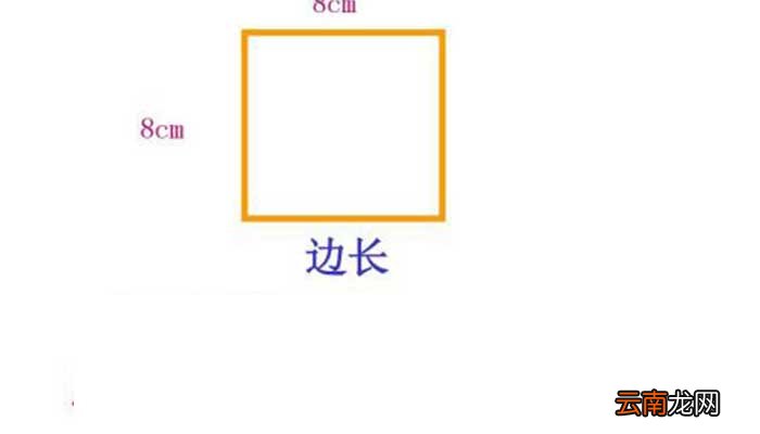 正方形的底面积公式 正方形的底面积公式是啥