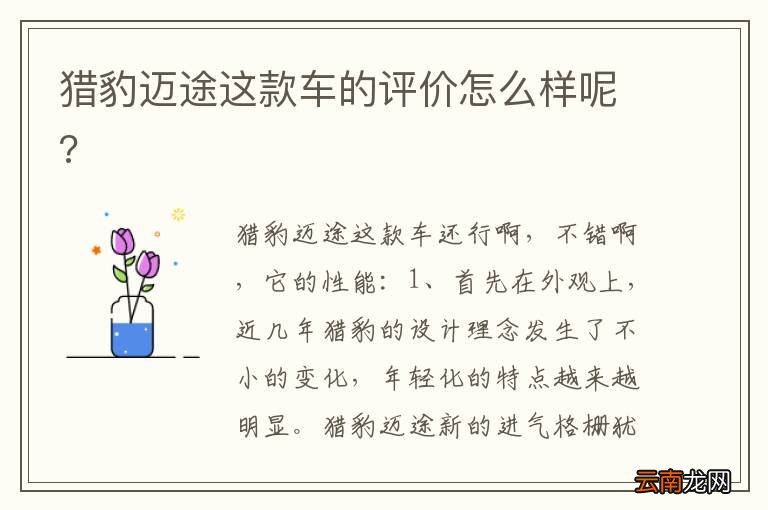 猎豹迈途这款车的评价怎么样呢?