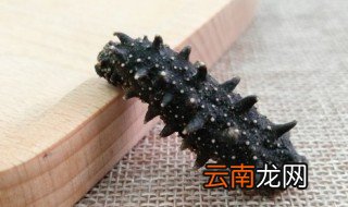 海参自己晒干怎么晒 海参可以晒干嘛