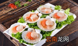 扇贝柱怎么晒干 扇贝柱怎么烘干