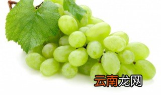 葡萄籽晒干了怎么吃好 晒干的葡萄籽怎么吃