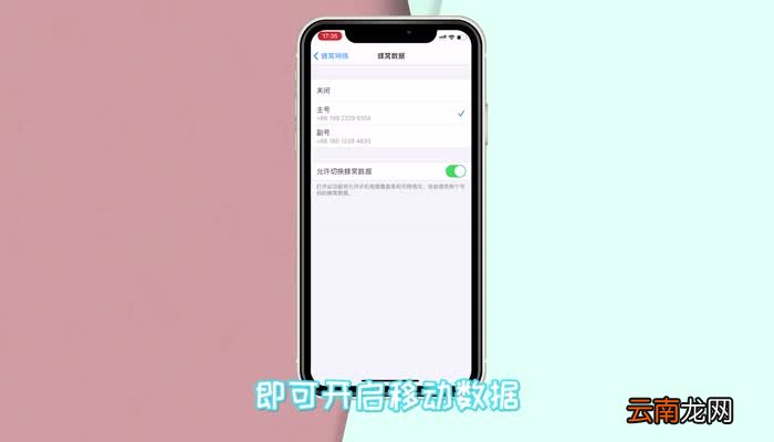 苹果手机移动数据怎么开 苹果手机移动数据在哪里打开