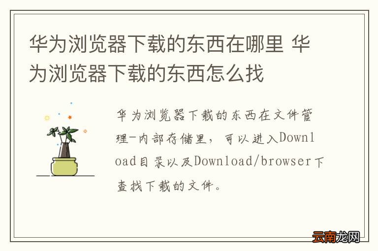 华为浏览器下载的东西在哪里 华为浏览器下载的东西怎么找