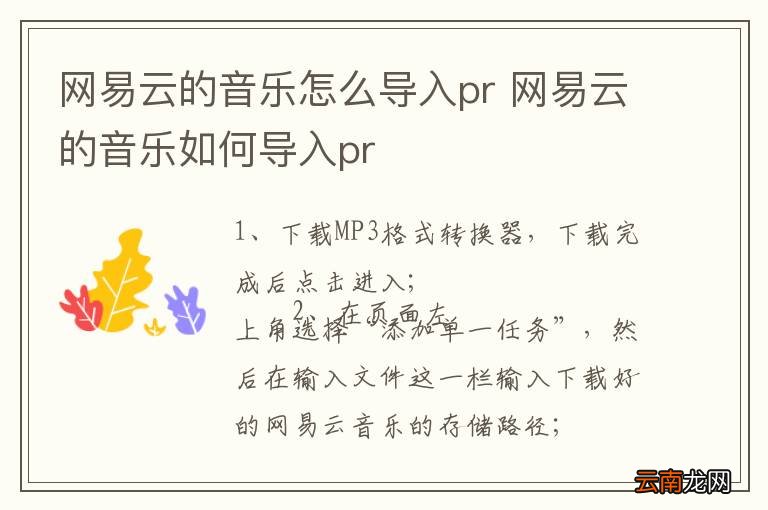 网易云的音乐怎么导入pr 网易云的音乐如何导入pr
