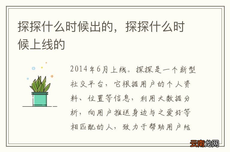 探探什么时候出的，探探什么时候上线的