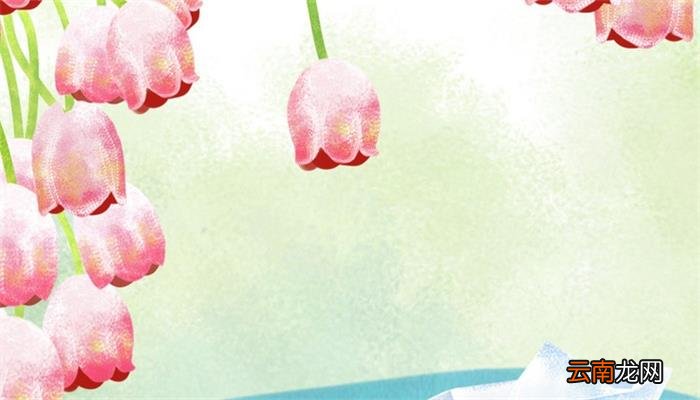 铃兰花语 铃兰花的寓意是什么