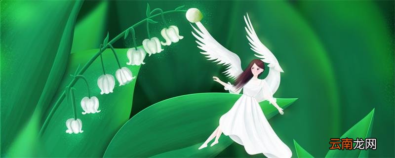 铃兰花语 铃兰花的寓意是什么
