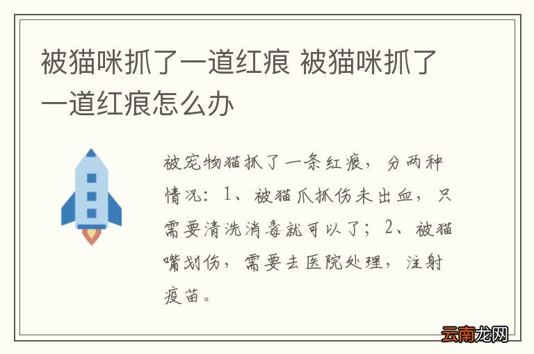 被猫咪抓了一道红痕 被猫咪抓了一道红痕怎么办