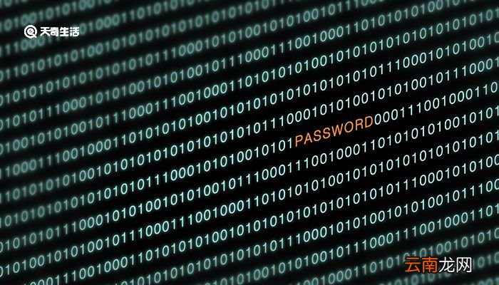 password什么意思 password的意思