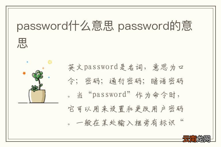 password什么意思 password的意思