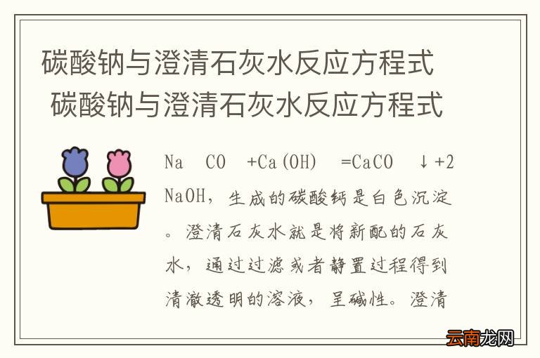 碳酸钠与澄清石灰水反应方程式 碳酸钠与澄清石灰水反应方程式是什么