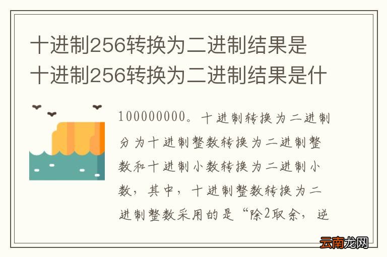 十进制256转换为二进制结果是 十进制256转换为二进制结果是什么