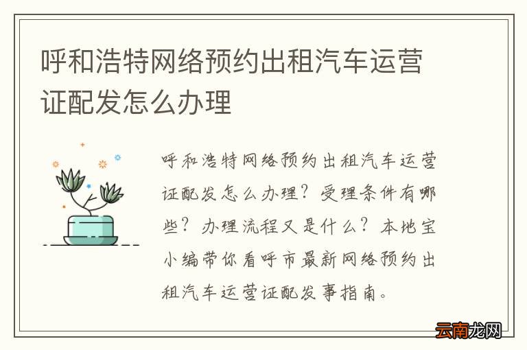 呼和浩特网络预约出租汽车运营证配发怎么办理