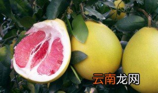 肉眼怎样外观区分红心柚子和白心柚子 从外观上区分红心柚子和白心柚子的流程