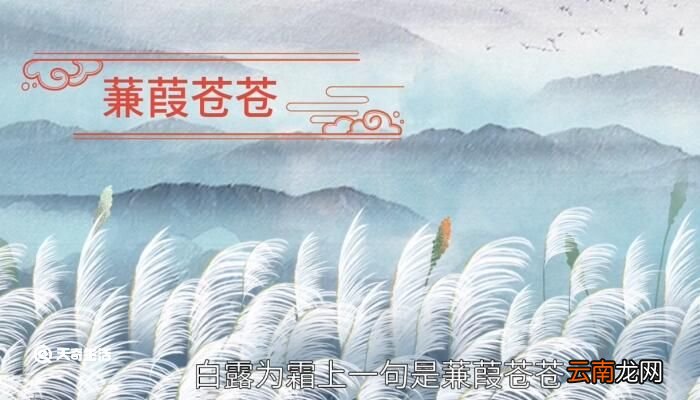 白露为霜上一句 白露为霜上一句在水一方上一句