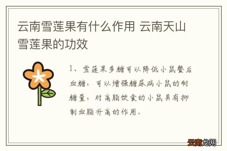 云南雪莲果有什么作用 云南天山雪莲果的功效