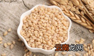 新鲜小麦仁的营养价值 新鲜小麦仁怎么烹饪