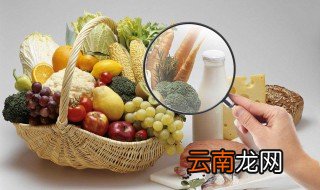 哪些食物有助于减肥 减肥者有福了